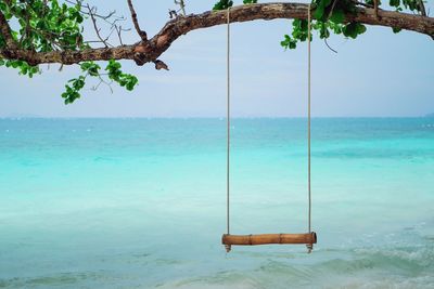 Swing hanging over tree at beach against sky