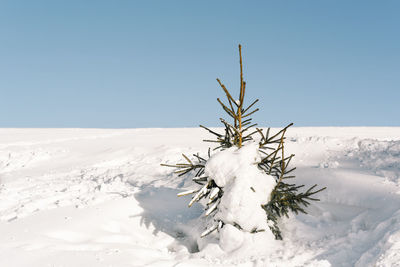 Snow covered land against clear sky