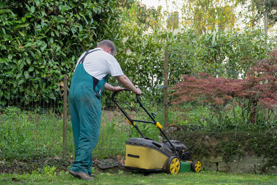 Rear view of man working on field