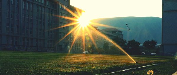 Sun shining over field during sunset