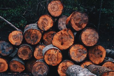 Stack of logs in forest