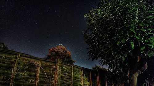 Low angle view of trees against sky