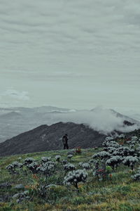 Scenic view of landscape against sky