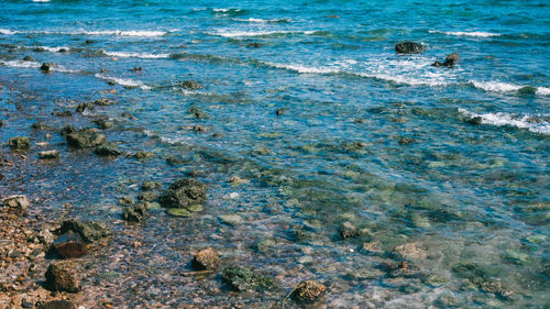 High angle view of crab on beach