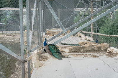 High angle view of man working at construction site