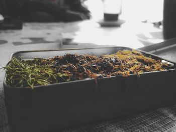 Close-up of potted plant on table