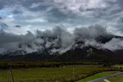 Scenic view of agricultural field against sky