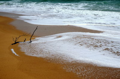 High angle view of man on beach