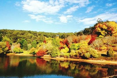 Reflection of trees in lake