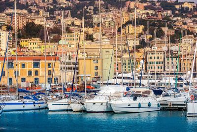 Sailboats in city