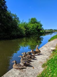 Scenic view of lake against blue sky