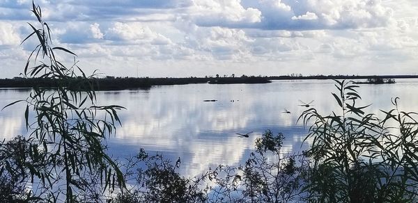 Scenic view of lake against sky