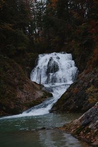 Stream flowing through rocks in forest