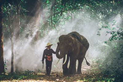 Man with elephant walking in forest