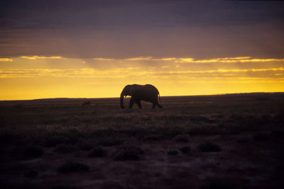 Scenic view of landscape at sunset