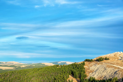 Scenic view of landscape against blue sky