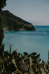 Scenic view of sea against clear sky