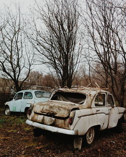 Abandoned car against bare trees
