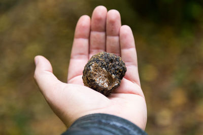 Close-up of hand holding rock