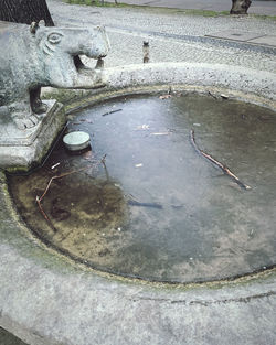 water