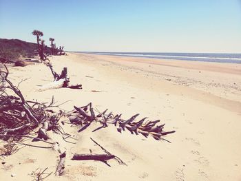 Scenic view of beach against clear sky