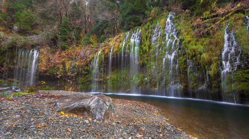 Scenic view of waterfall in forest