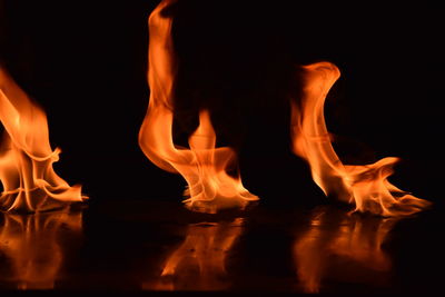 Close-up of bonfire against black background