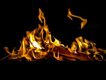 Close-up of bonfire at night