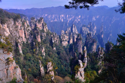 Panoramic view of trees and mountains against sky