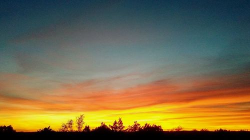 Silhouette trees against dramatic sky during sunset