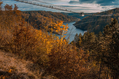 View of bridge during autumn