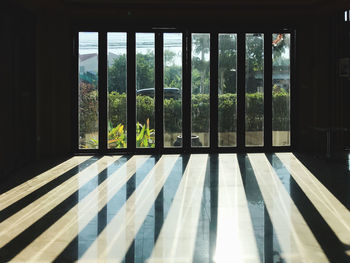 Trees seen through glass window of building