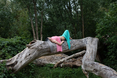 Woman sitting on tree trunk amidst trees in forest