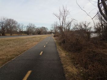 Road amidst bare trees against sky