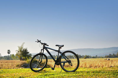 Bicycle on field