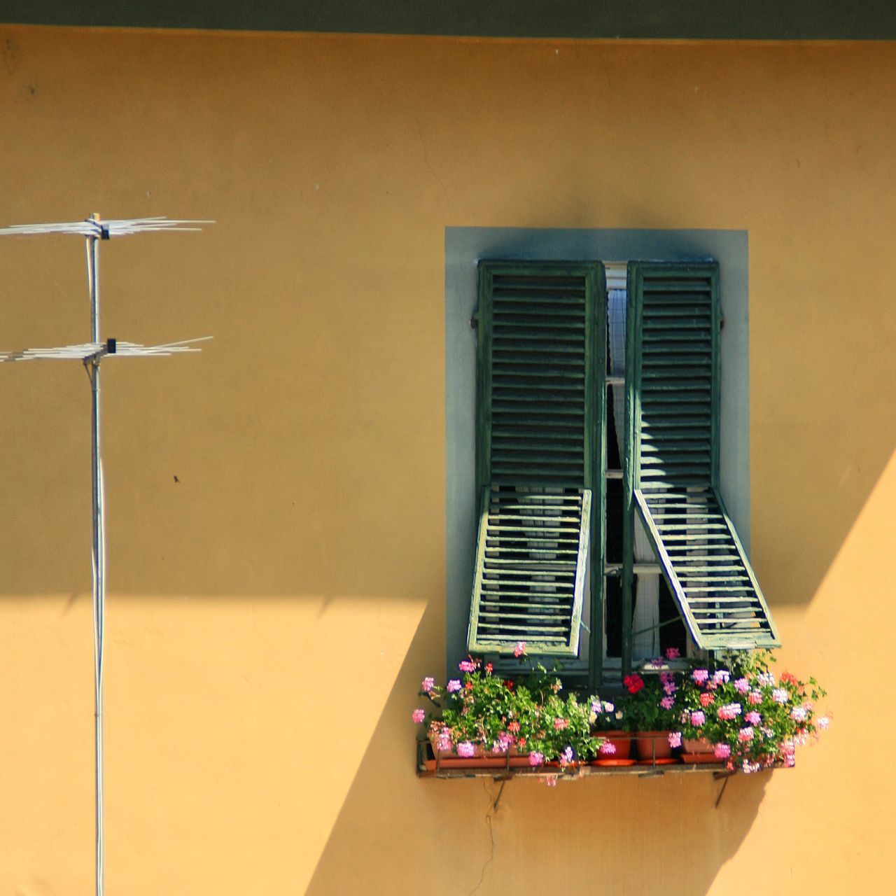 architecture, built structure, building exterior, house, window, potted plant, flower, plant, wall - building feature, indoors, wall, growth, door, home interior, no people, day, residential structure, wood - material, hanging, yellow