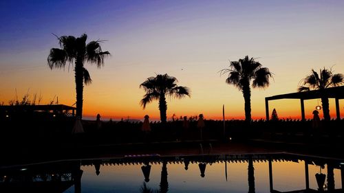 Silhouette of palm trees at swimming pool during sunset