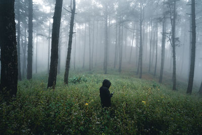 Rear view of man standing in forest against trees