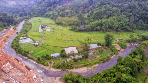 High angle view of agricultural field by trees and buildings