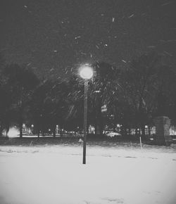 Trees at night