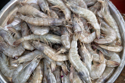 High angle view of fish for sale in market