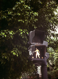 Plants against trees