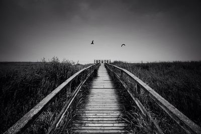 Road passing through field