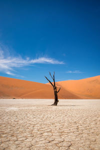 Scenic view of desert against sky