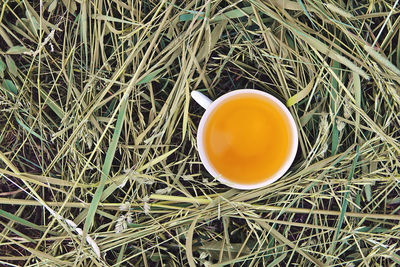 High angle view of tea served on field