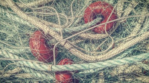 Full frame shot of fishing net