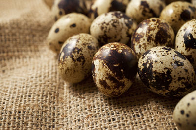 Close-up of some quail eggs.