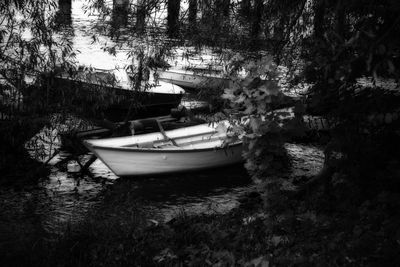 Boat moored on river by trees in forest