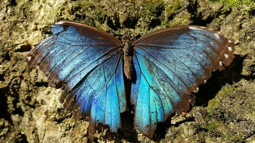 Close-up of rocks against blue sky