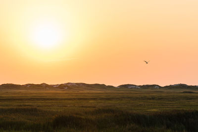 Scenic view of field against sky during sunset